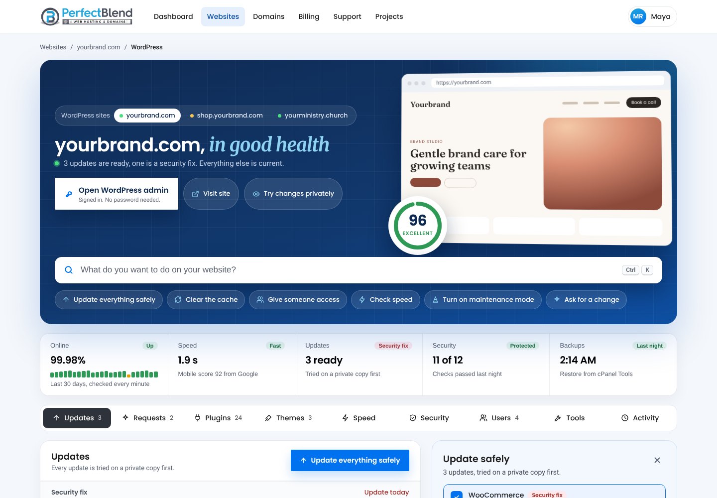 WordPress Tools in your client area: site health, speed, updates, security and backups